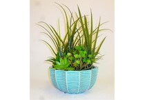 lcgs plants   
