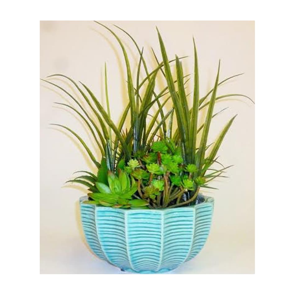 lcgs plants   