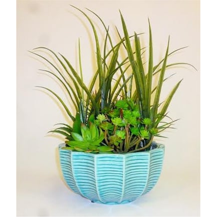 Succulent Grass in a Sculpted Ceramic Vase 10"W x 14"H