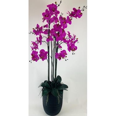 Fuchsia Orchid In Deco Planter 4'H