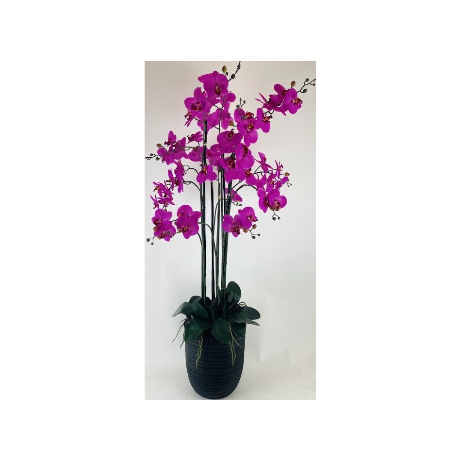 lcgs purple floral   