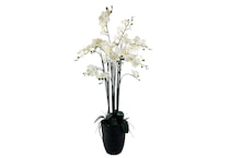 lcgs white floral   