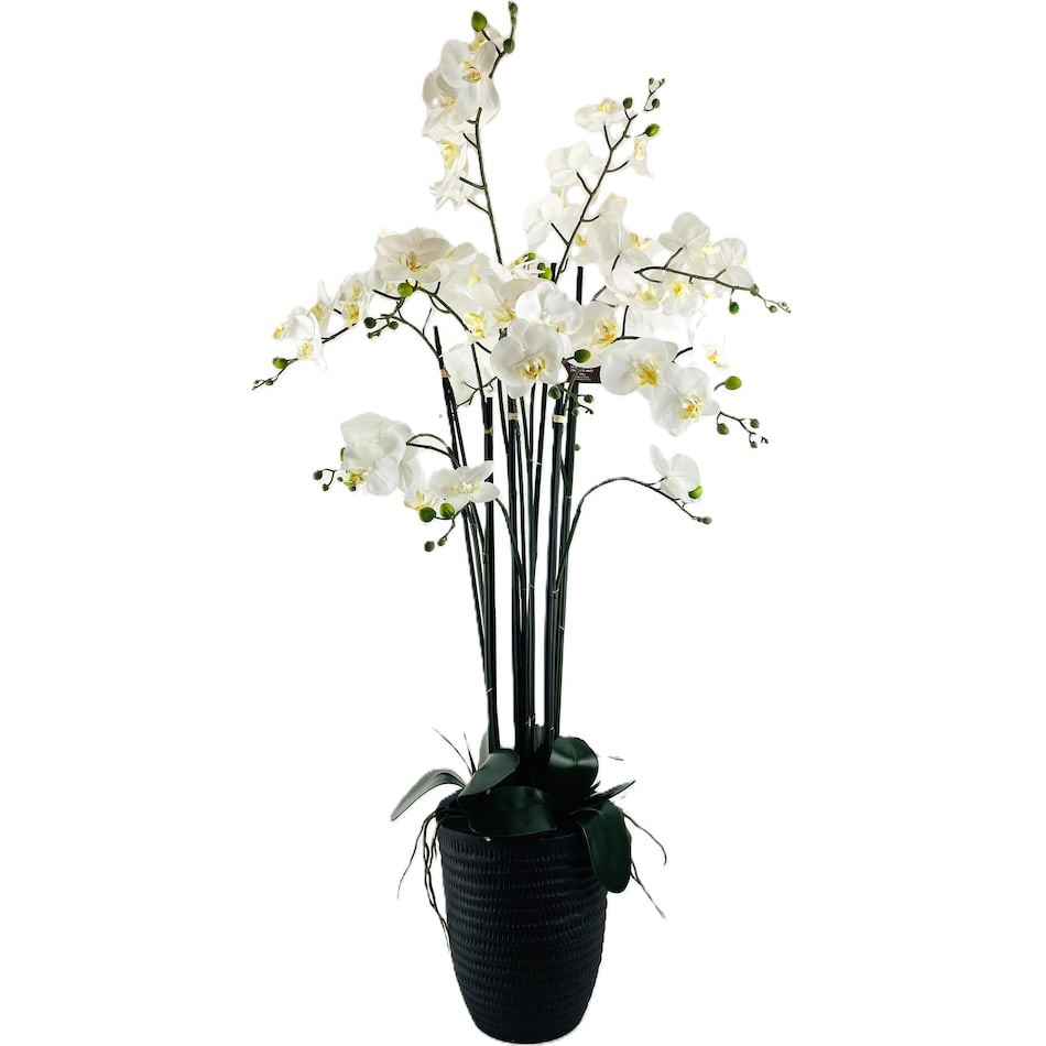 lcgs white floral   
