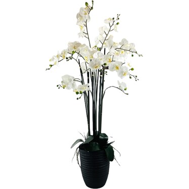 White and Yellow Orchid In Deco Planter 4'H