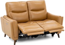 link brown  inches and under   