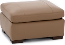 linv tan accent z  