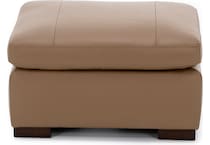 linv tan accent z  
