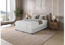 mfm queen  room image  