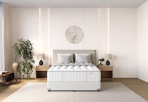 mlf queen  room image  