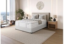 mlf queen  room image  