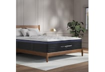 mnlxm king  room image  