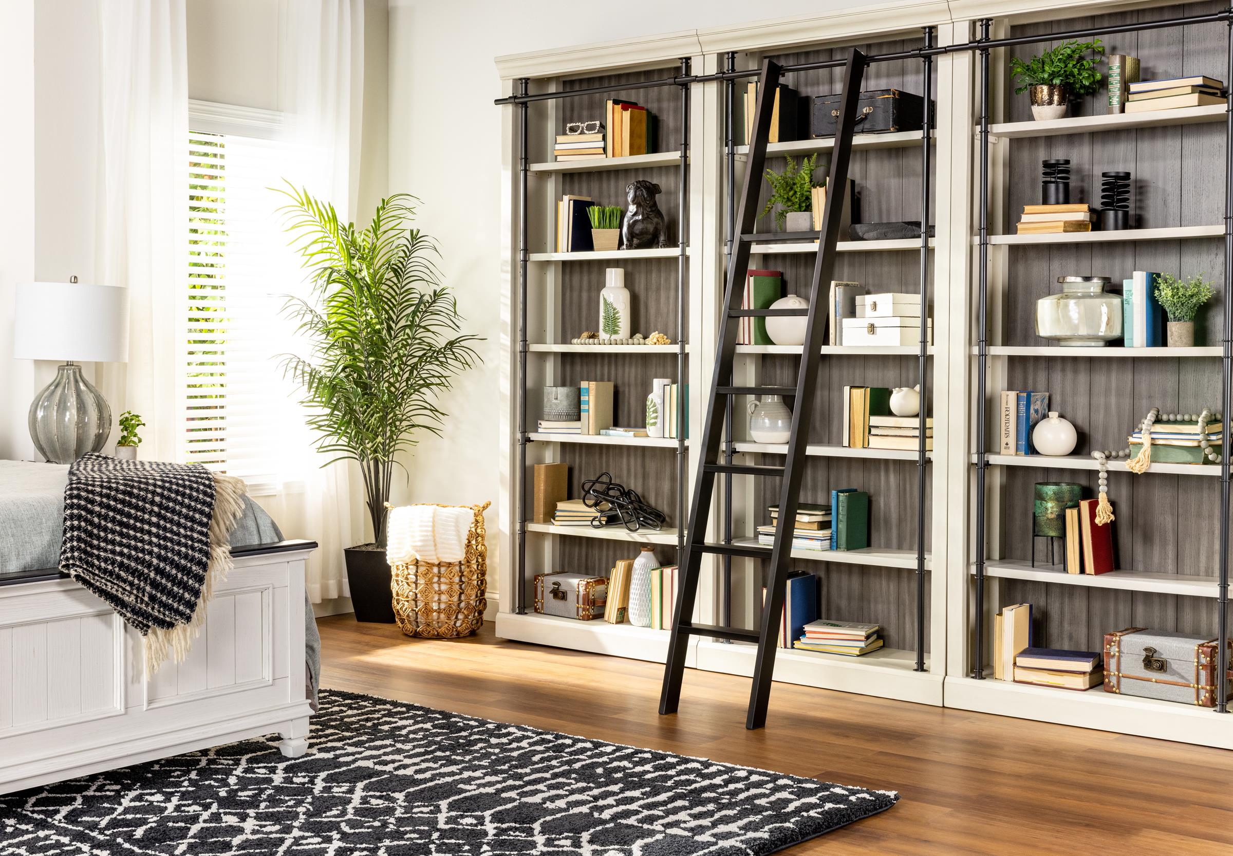 Bookcase wall and deals ladder