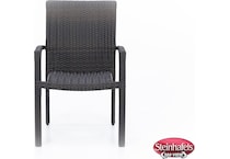 northcape brown standard height arm chair  image   