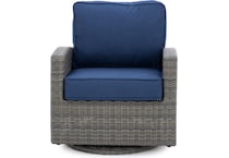 northcape spectrum indigo swivel pkg  