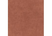 orange swatch  