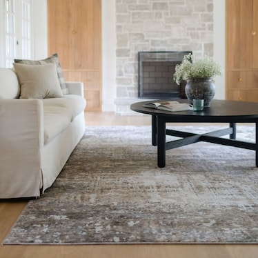 Nebulous Ivory/Charcoal Abstract Area Rug