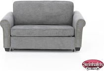 plsr grey sleeper  image z  