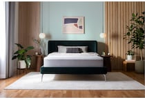 prhyb king  room image  