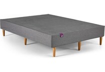 purple grey queen   