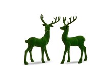 razi green holiday ast  