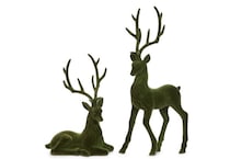 razi green holiday ast  