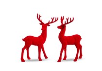 razi red holiday ast  