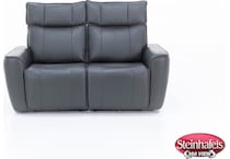 sdsg grey  inches and under  image   