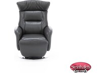 sdsg grey recliner  image   