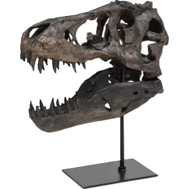Black T-Rex Head Sculpture On Base 10"W x 12.5"H