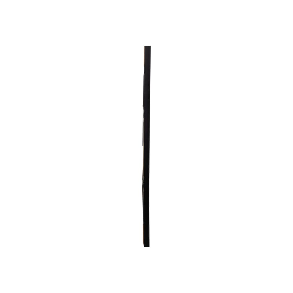 sgbk black paintings   