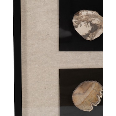 Petrified Stone Framed Shadow Box 16"W x 48"H
