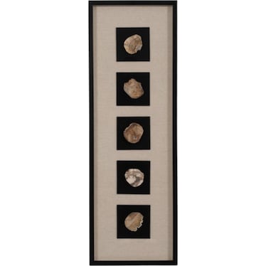 Petrified Stone Framed Shadow Box 16"W x 48"H