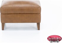 sili brown accent  image z  
