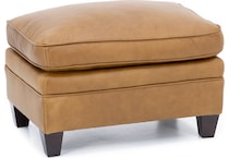 sili brown accent z  