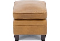 sili brown accent z  