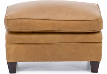 sili brown accent z  