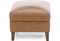 sili brown accent z  