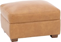 sili brown accent z  