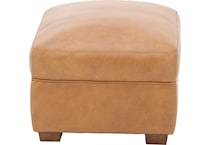 sili brown accent z  