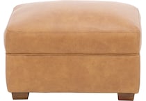 sili brown accent z  
