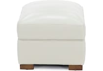 sili ivory accent zz  