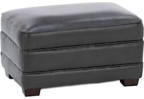 sili sparrow charcoal accent z  