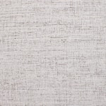 silver swatch  
