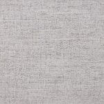 silver swatch  