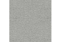 silver swatch  