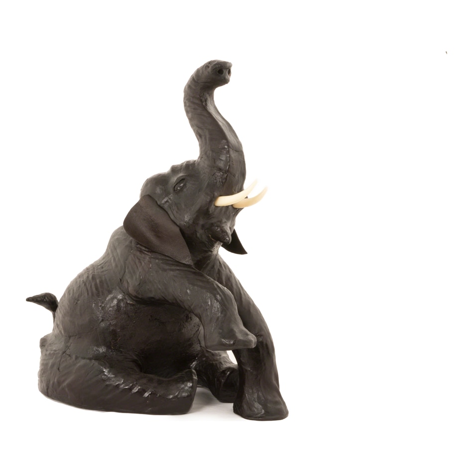 something wild inc brown floor animals   