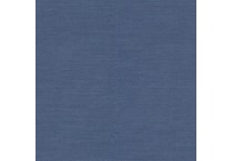 spectrum indigo swatch  