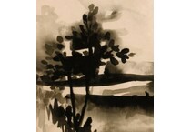 stlc black prints   