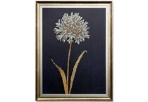 stlc black prints   