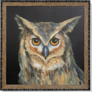 Owl Portrait Framed Art 40"W x 40"H